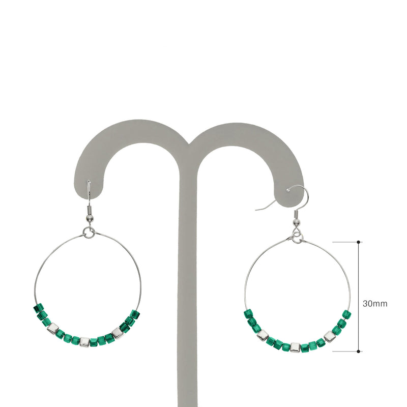 Y01524/TGW Earrings