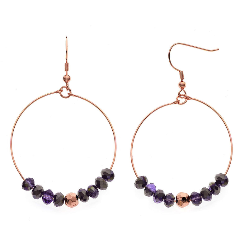 Y01539/DAR Earrings