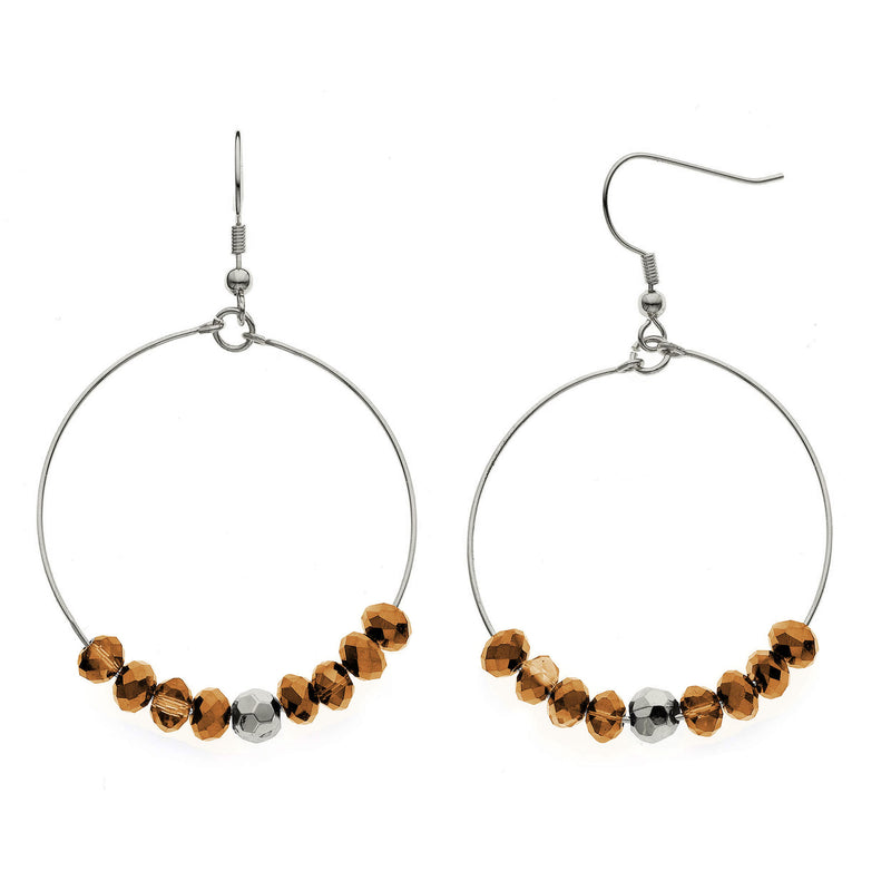 Y01540/CW Earrings