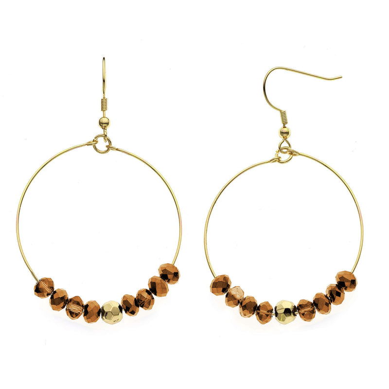 Y01540/CY Earrings
