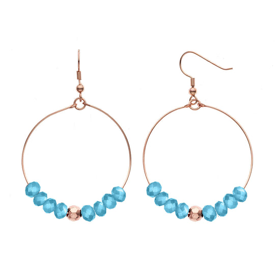 Y01542/LBR Earrings