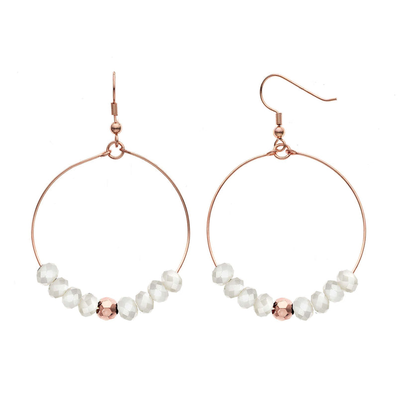 Y01544-WR Earrings