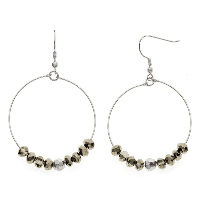 Y01548-SW Earrings